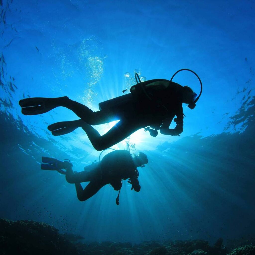 PADI