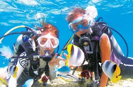 try diving in Hurghada with Red Sea Diving Academy