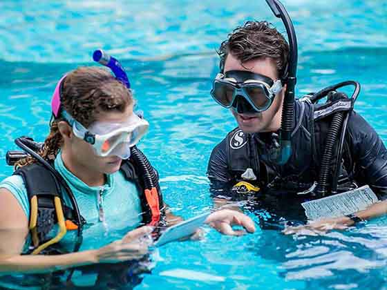 During Open Water PADI diver course with Red Sea Diving Academy Hurghada EGYPT in Swimming Pool