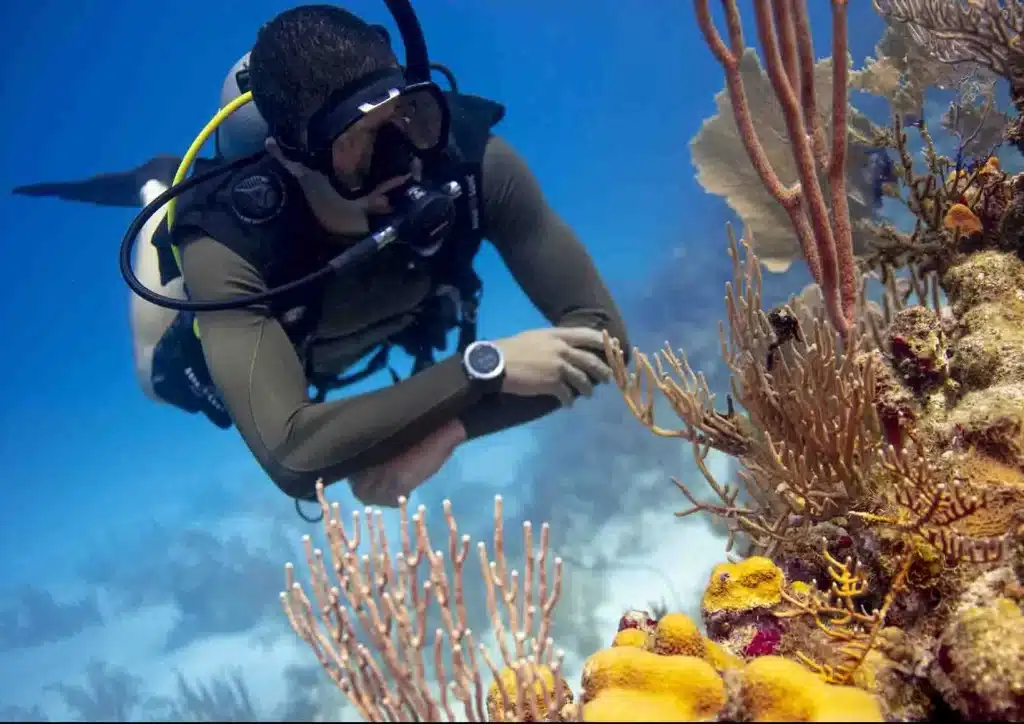 Diver with corals in Hurghada Egypt with Red Sea Diving Academy